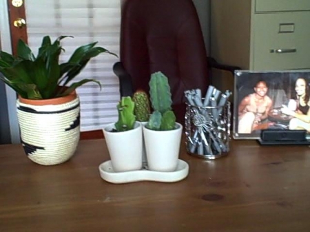 plantspenspics11 plantspenspics11